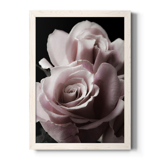Rose Noir II - Barnwood Framed Canvas Print