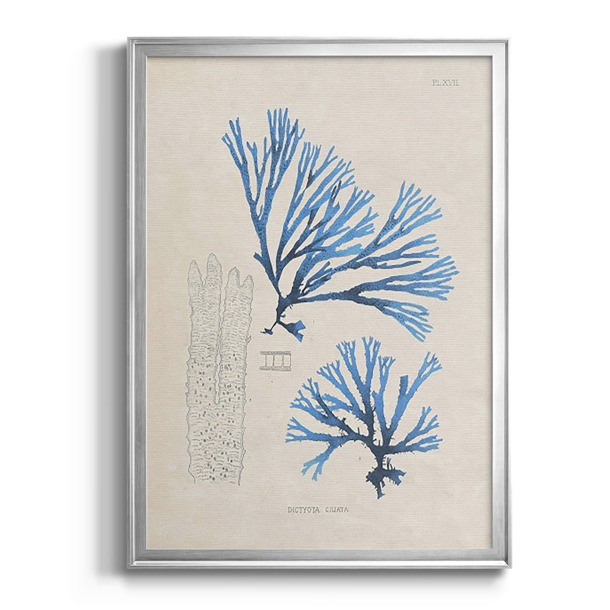 Blue Marine Algae V - Modern Framed Canvas Print