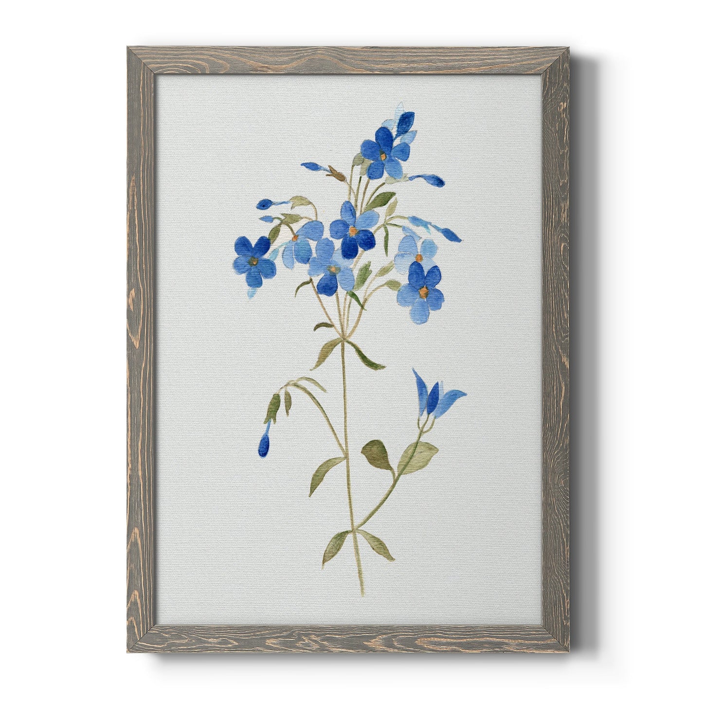 Blue Blossom Botanical II - Barnwood Framed Canvas Print