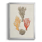 Knorr Shells & Coral IV - Modern Framed Canvas Print