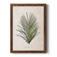 Palm Botanical I - Premium Canvas Framed in Barnwood - Ready to Hang