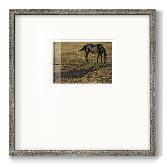 Long Shadow- Premium Framed Print Double Matboard