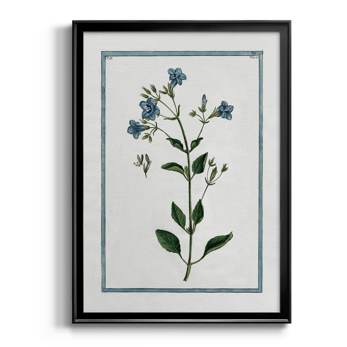 Shabby Chic Botanical II - Modern Framed Canvas Print