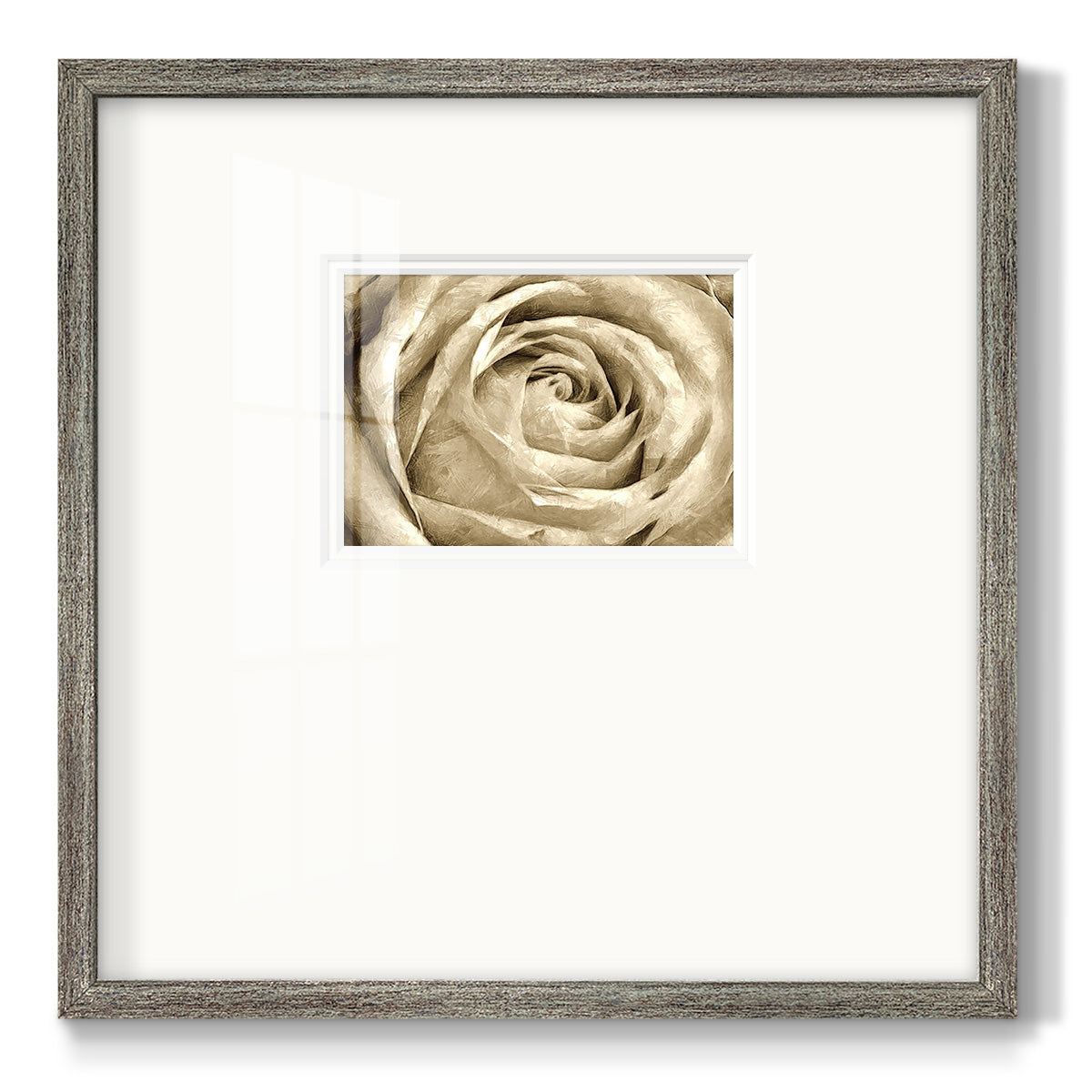 Neutral Wall Flower IV Premium Framed Print Double Matboard