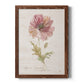 Soft Poppy - Barnwood Framed Canvas Print