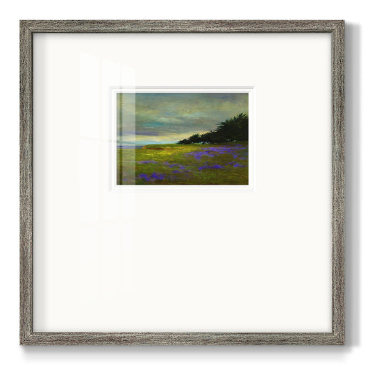 Coastal Views VI Premium Framed Print Double Matboard