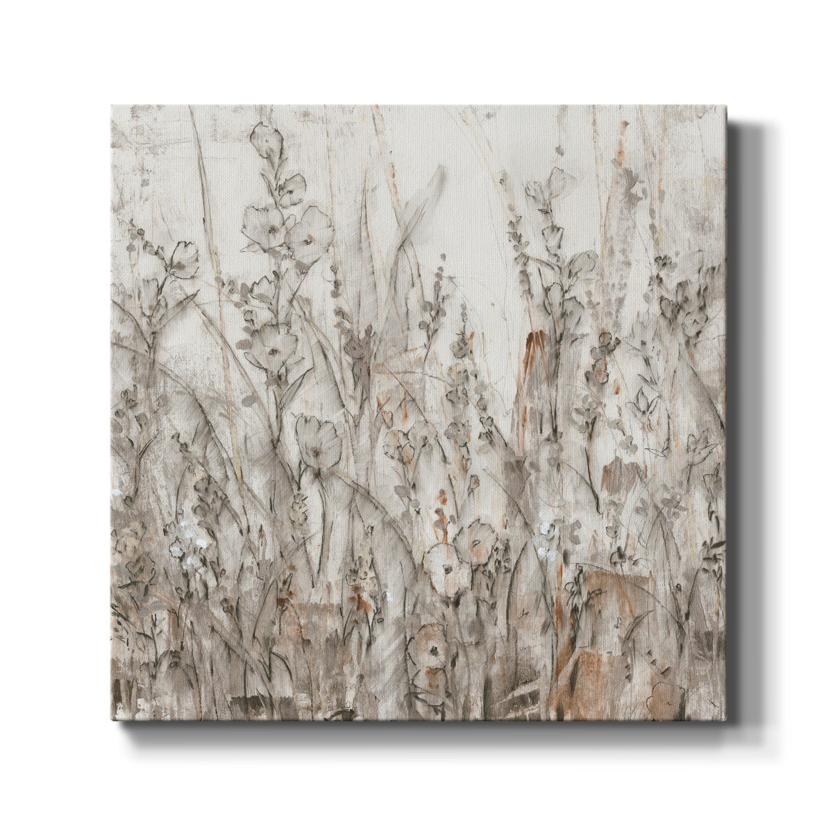 Shadows II - Canvas Art Print