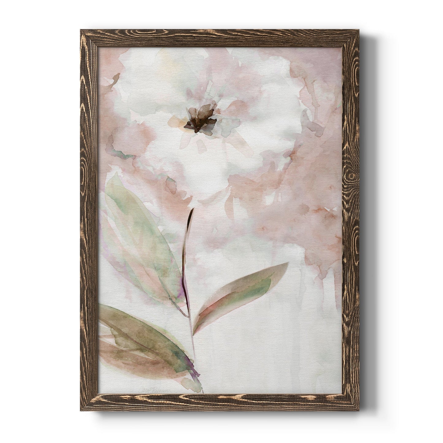 Summer Bloom I - Barnwood Framed Canvas Print