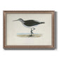 Morris Sandpipers VI Premium Framed Canvas- Ready to Hang