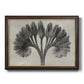 Vintage botanical plant study photograph by Karl Blossfeldt printed on canvas in an ornate mahogany wood frame with gold liner.