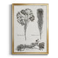 Black & White Protea on Linen I - Modern Framed Canvas Print