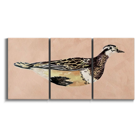Three-panel canvas wall art featuring coastal bird illustration on white background.