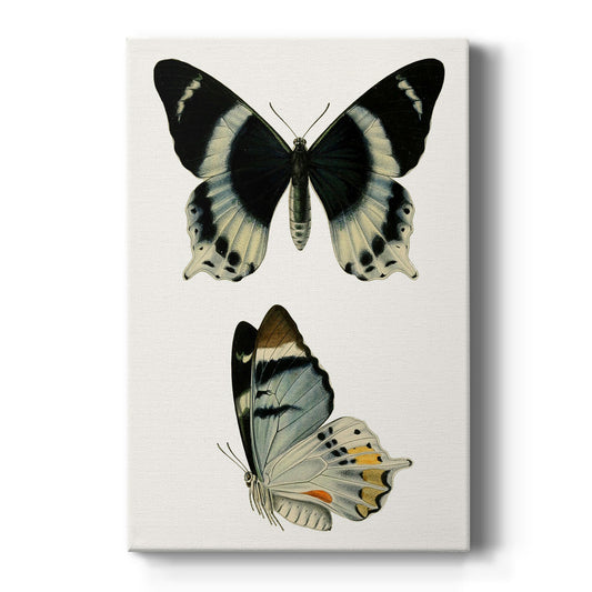 Antique Blue Butterflies I Premium Gallery Wrapped Canvas - Ready to Hang