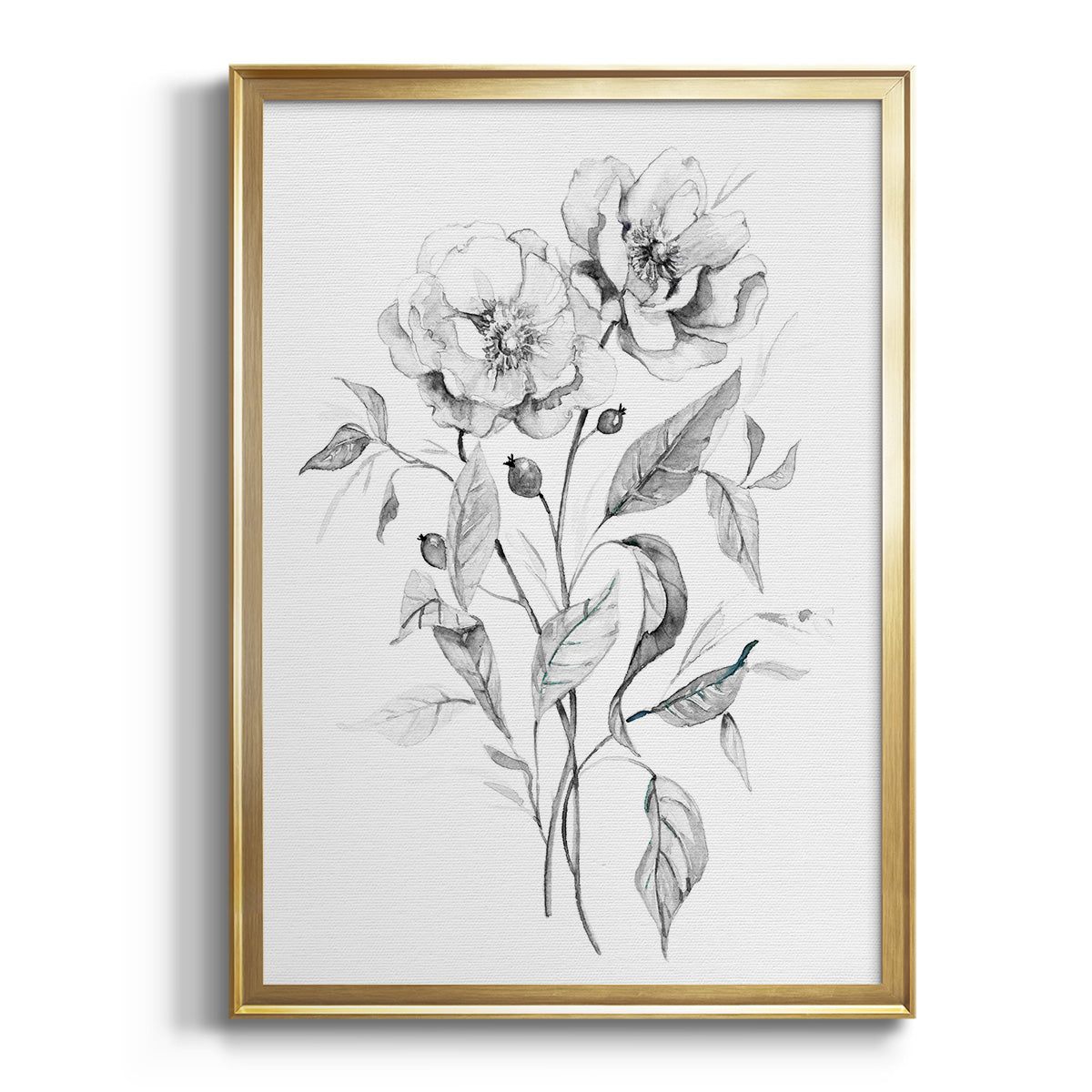 Wild Roses Sketch - Modern Framed Canvas Print