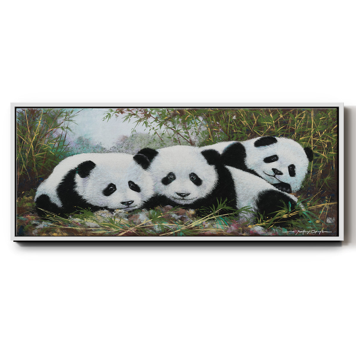 Panda Play - Floater Framed Canvas Print
