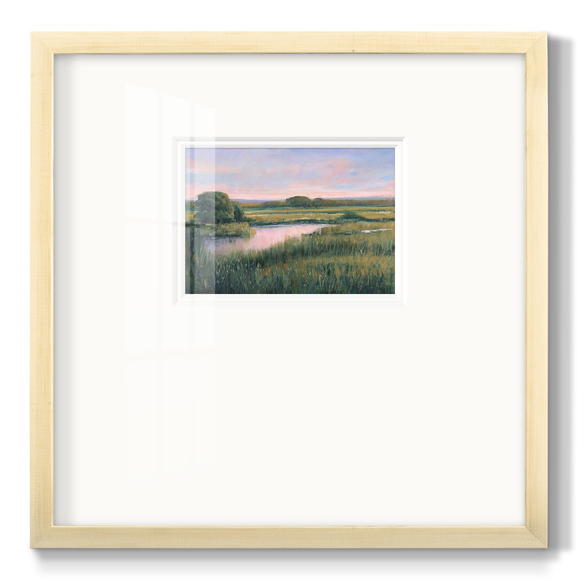 Spring Marsh I Premium Framed Print Double Matboard