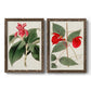 Flora of the Tropics I - Barnwood Framed Canvas Set