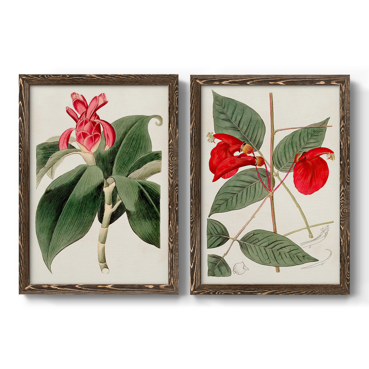 Flora of the Tropics I - Barnwood Framed Canvas Set