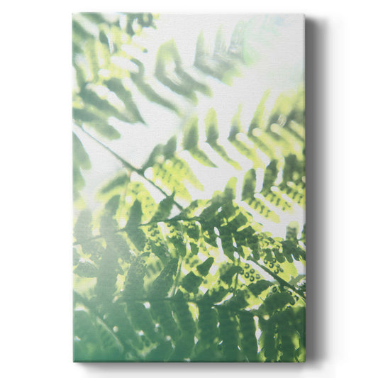 UA Fern Glow V Premium Gallery Wrapped Canvas - Ready to Hang