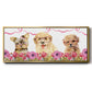 Puppy Valentine Collection D - Floater Framed Canvas Print