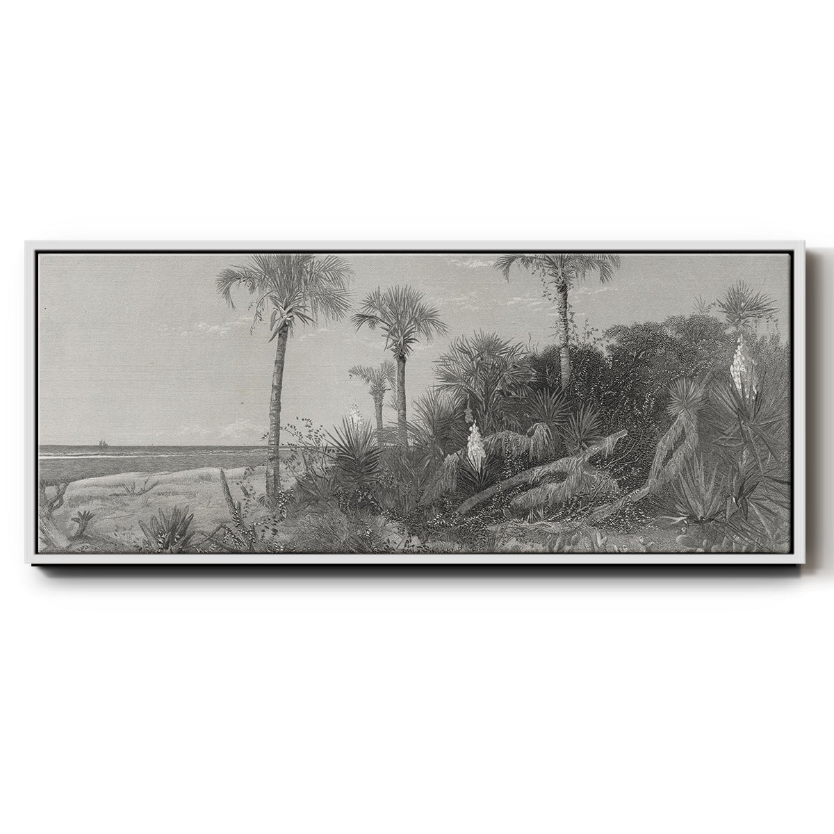 On the Coast of Florida - Floater Framed Canvas Print