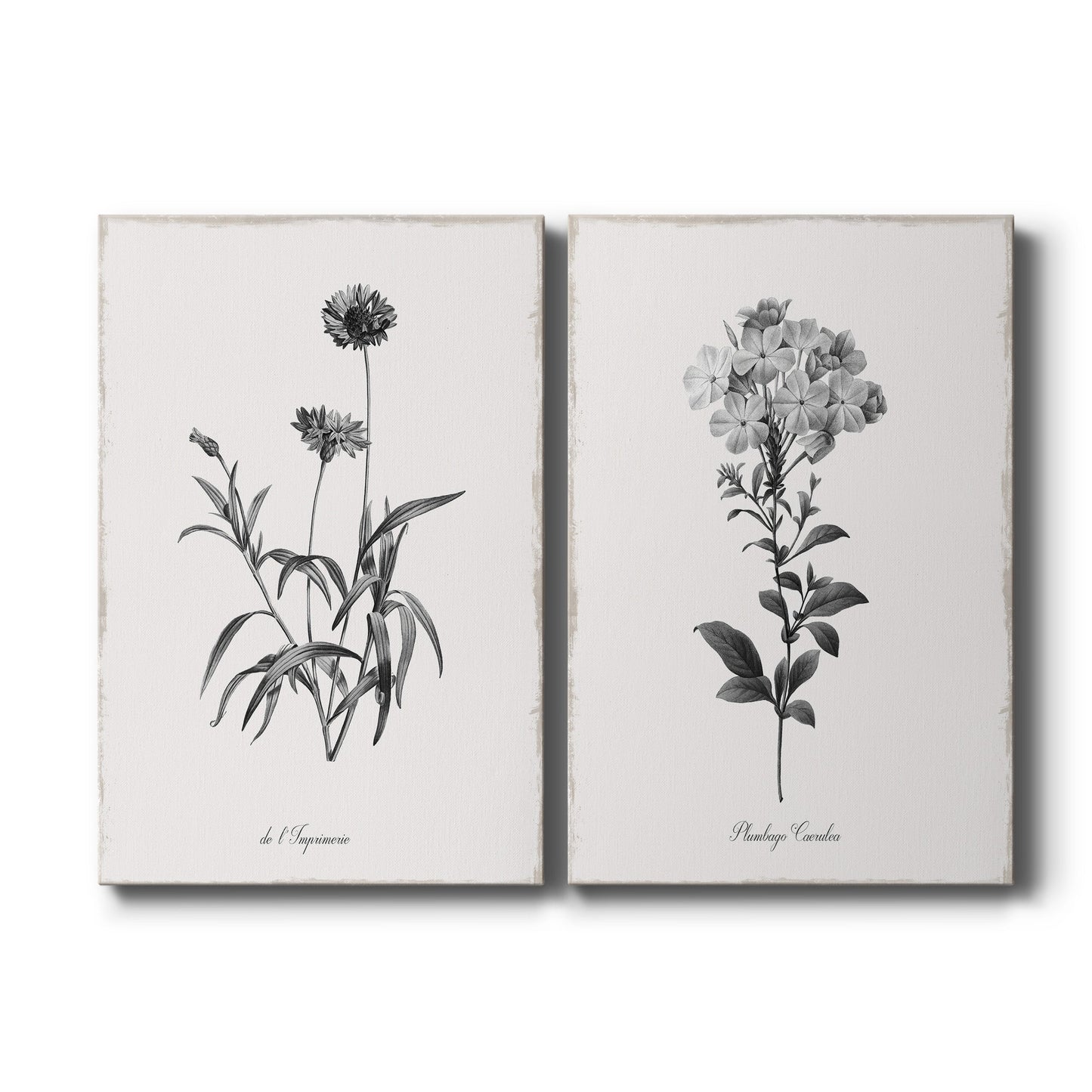 Simply Imperial Premium Gallery Wrapped Canvas - Ready to Hang - Set of 2 - 8 x 12 Each