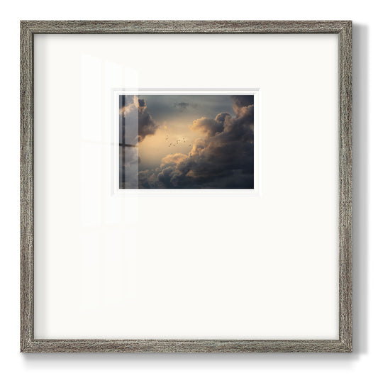 Soaring High Above- Premium Framed Print Double Matboard