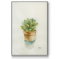 Succulent II - Framed Premium Gallery Wrapped Canvas L Frame - Ready to Hang