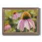 Echinacea Study I Premium Framed Canvas- Ready to Hang