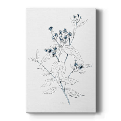 Indigo Sketch I - Canvas Art Print