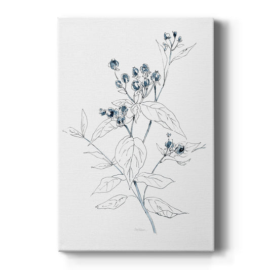 Indigo Sketch I Premium Gallery Wrapped Canvas - Ready to Hang