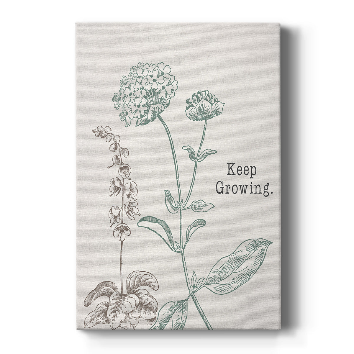 Keep Growing - Canvas Art Print