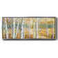 Birch Path II - Floater Framed Canvas Print