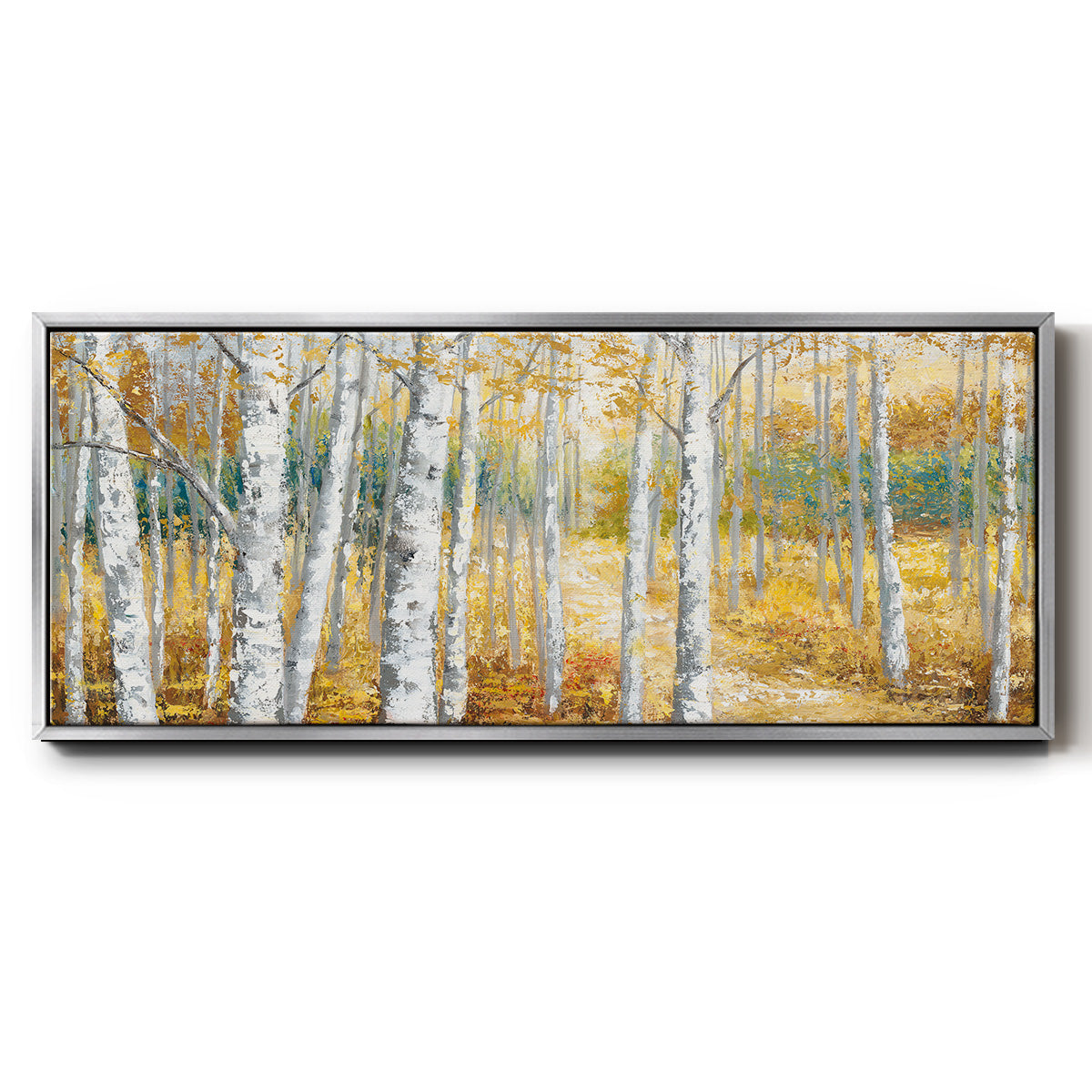 Birch Path II - Floater Framed Canvas Print