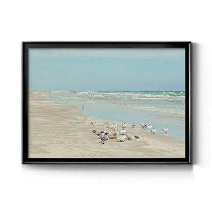 Padre Island Shore Birds - Modern Framed Canvas Print