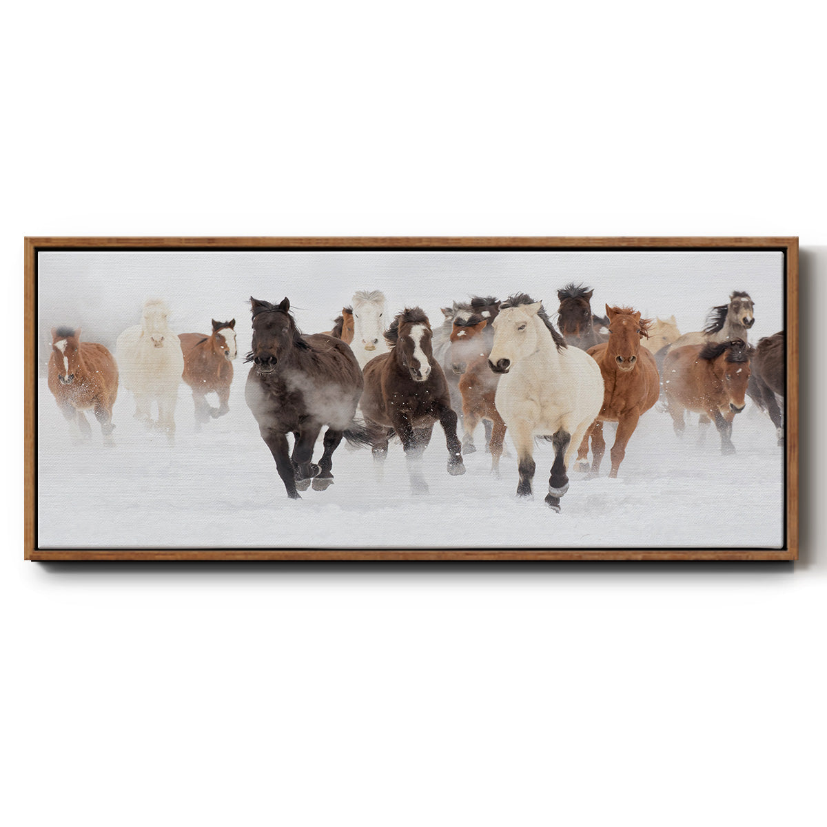 Pasture Run - Floater Framed Canvas Print