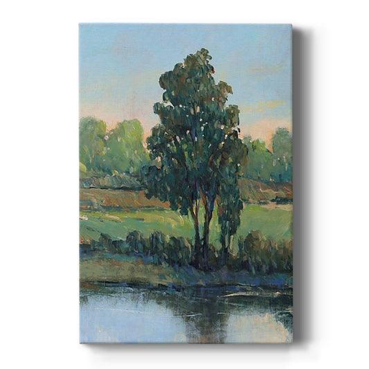 Tree by the Riverbank I - Canvas Art Print