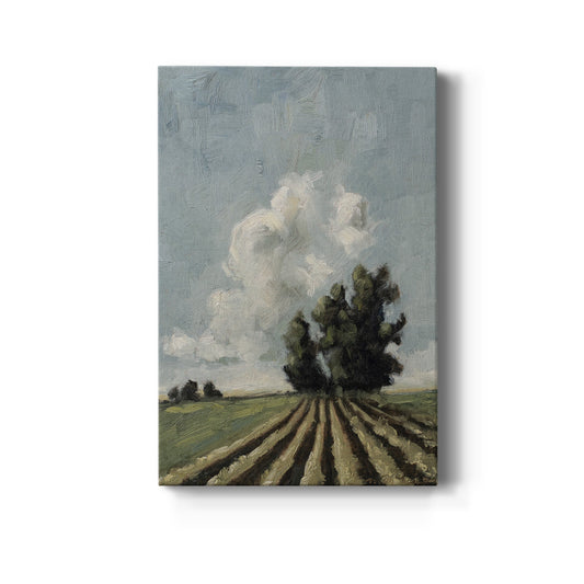 Copse of Trees Premium Gallery Wrapped Canvas - Ready to Hang