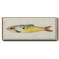 Fanciful Fish I - Floater Framed Canvas Print