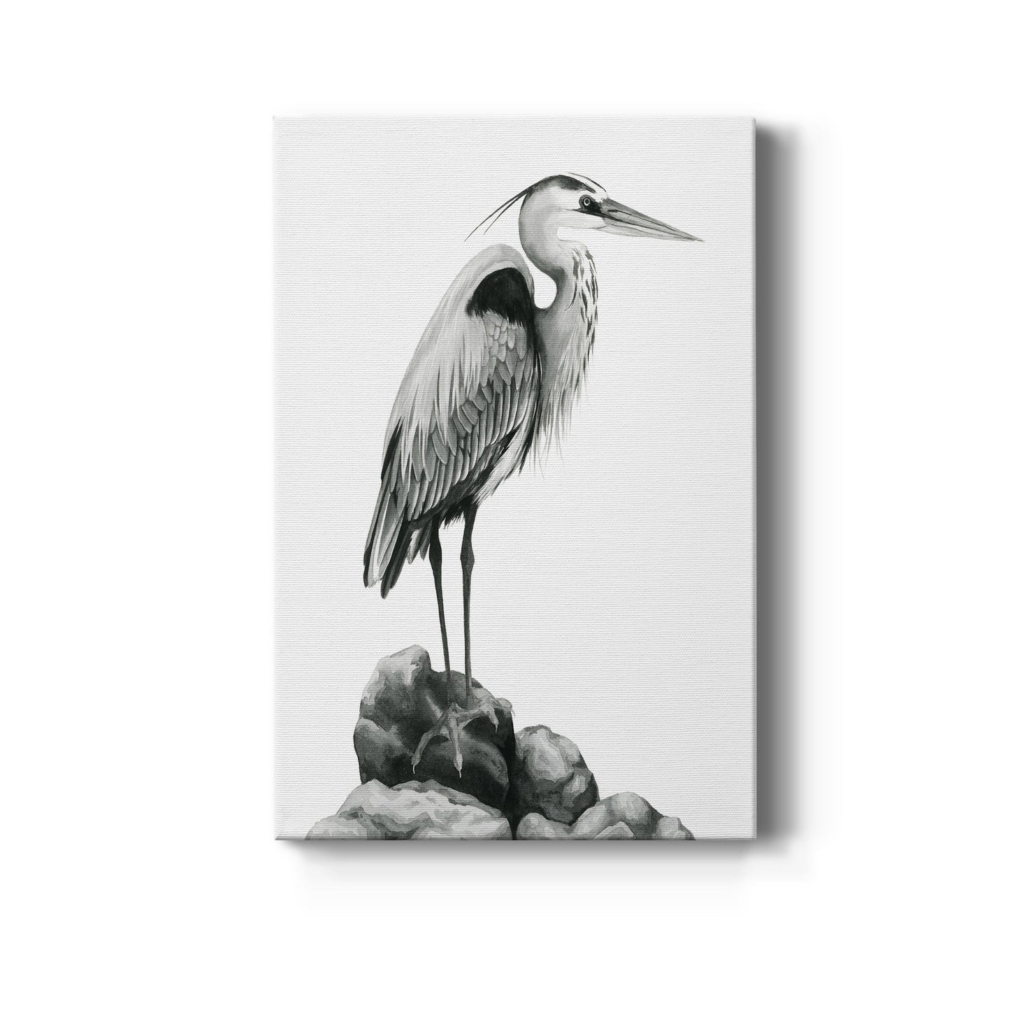 Shoreline Heron in B&W I Premium Gallery Wrapped Canvas - Ready to Hang