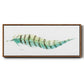 Tail Feather II - Floater Framed Canvas Print