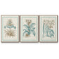Willow Blue Besler I - Floater Framed Canvas Set