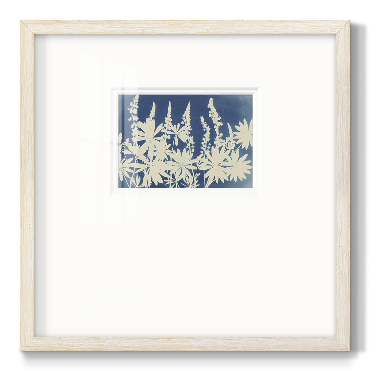 Lovely Lupine Premium Framed Print Double Matboard