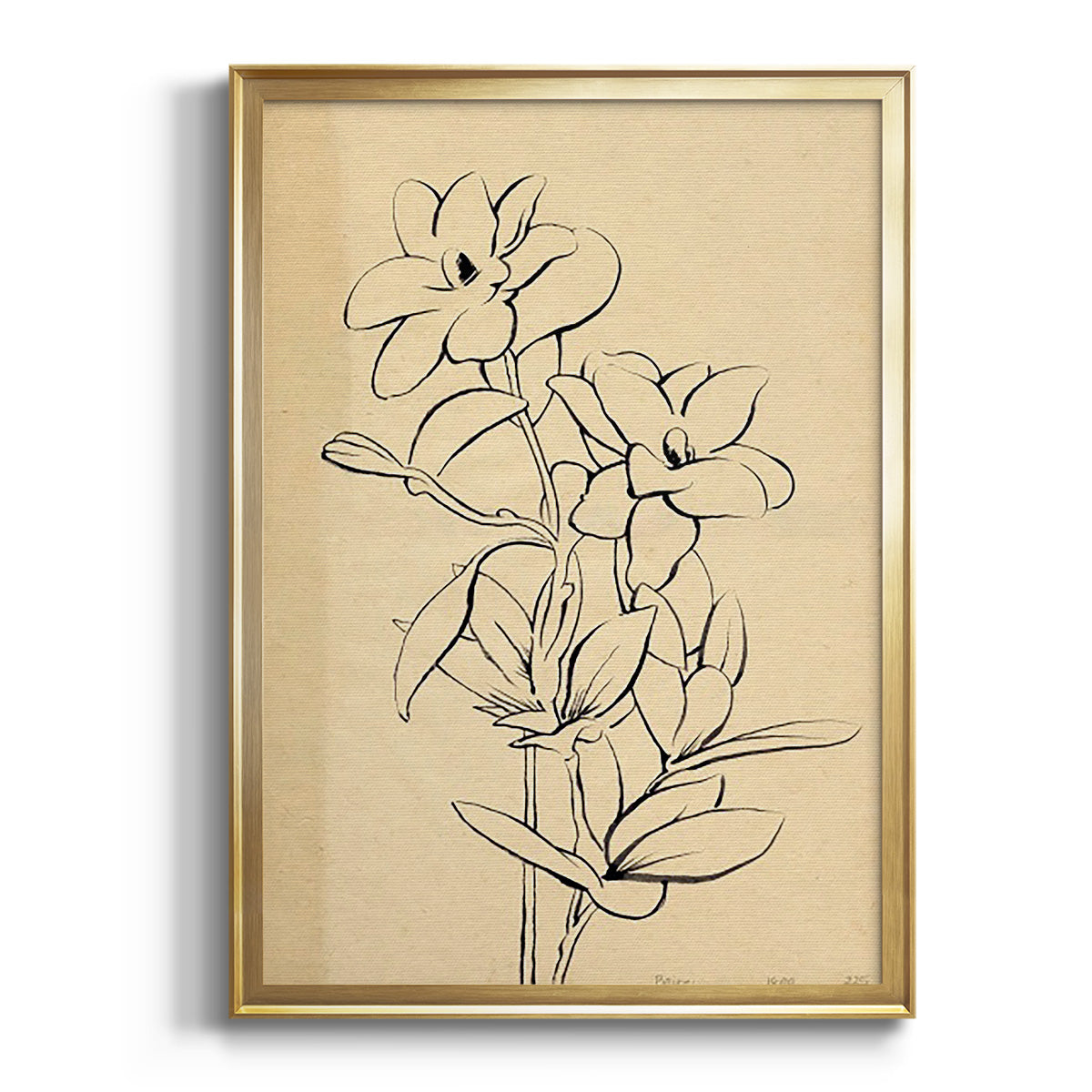 Magnolia Sketch I - Modern Framed Canvas Print