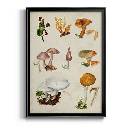 Mushroom Species VI - Modern Framed Canvas Print