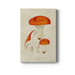 Mushroom Varieties IX Premium Gallery Wrapped Canvas - Ready to Hang