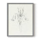 Neutral Iris Sketch I - Restickable Framed Art Print