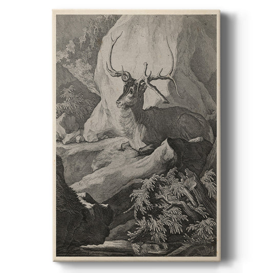 Woodland Deer VIII Premium Gallery Wrapped Canvas - Ready to Hang