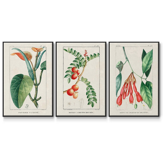 Turpin Tropical Botanicals I - Framed Premium Gallery Wrapped Canvas L Frame 3 Piece Set - Ready to Hang