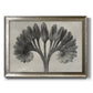 Vintage botanical plant study photograph by Karl Blossfeldt printed on canvas in an ornate mottled silver frame.